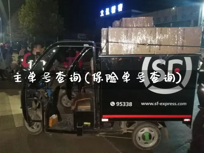 主单号查询(保险单号查询)_https://www.senxinmaoyi.com_邮政编码_第1张