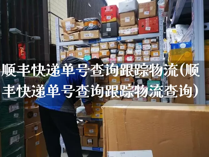 顺丰快递单号查询跟踪物流(顺丰快递单号查询跟踪物流查询)_https://www.senxinmaoyi.com_快递查询_第1张