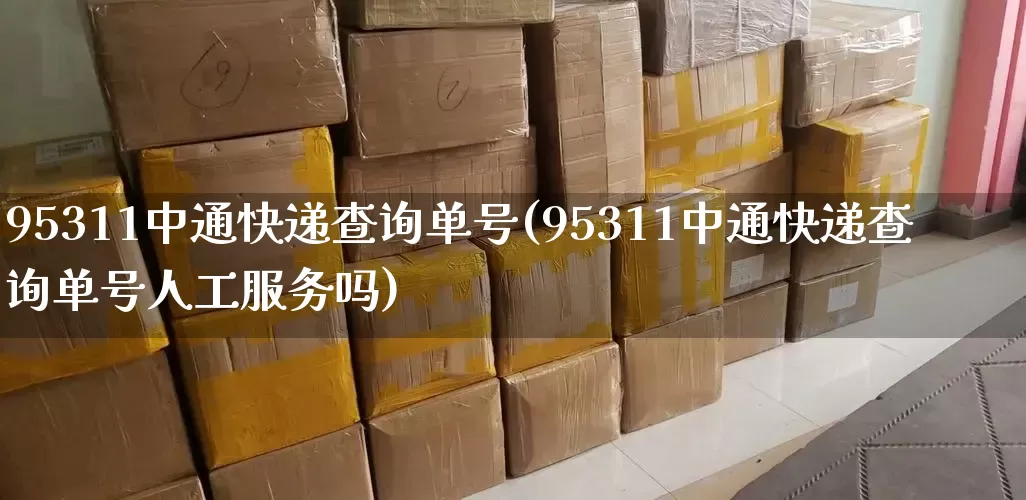 95311中通快递查询单号(95311中通快递查询单号人工服务吗)_https://www.senxinmaoyi.com_物流单号_第1张