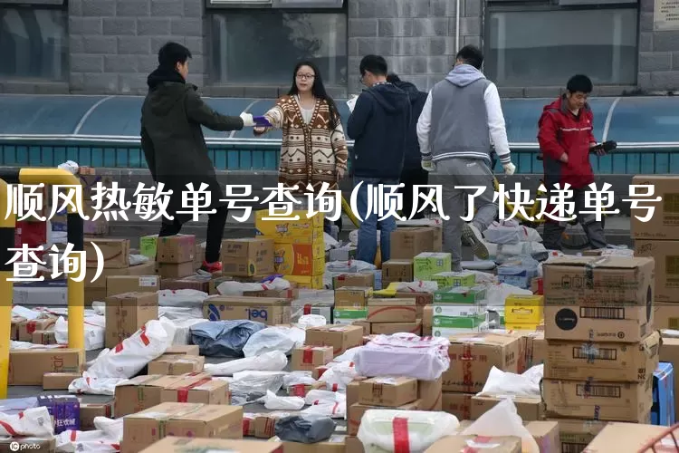 顺风热敏单号查询(顺风了快递单号查询)_https://www.senxinmaoyi.com_快递查询_第1张