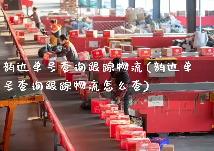 韵达单号查询跟踪物流(韵达单号查询跟踪物流怎么查)_https://www.senxinmaoyi.com_物流单号_第1张