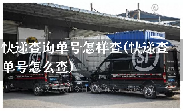 快递查询单号怎样查(快递查单号怎么查)_https://www.senxinmaoyi.com_邮政编码_第1张