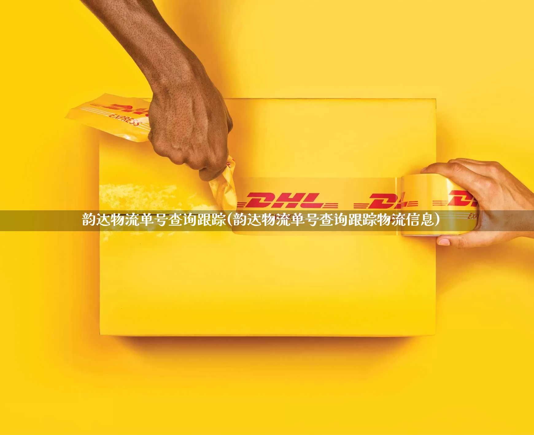 韵达物流单号查询跟踪(韵达物流单号查询跟踪物流信息)_https://www.senxinmaoyi.com_物流查询_第1张