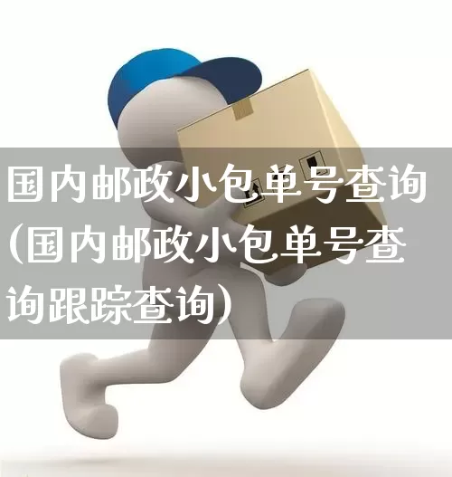 国内邮政小包单号查询(国内邮政小包单号查询跟踪查询)_https://www.senxinmaoyi.com_邮政编码_第1张