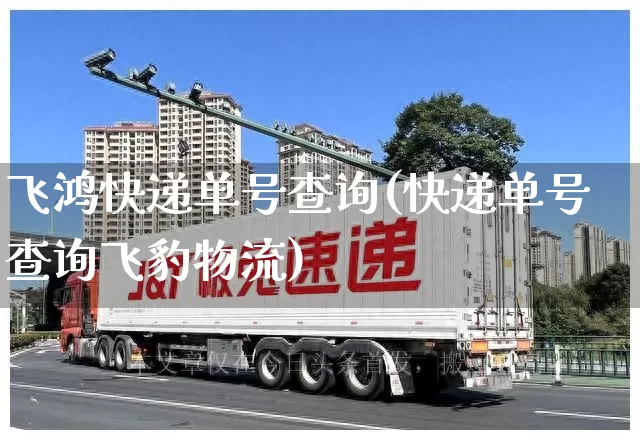 飞鸿快递单号查询(快递单号查询飞豹物流)_https://www.senxinmaoyi.com_物流单号_第1张
