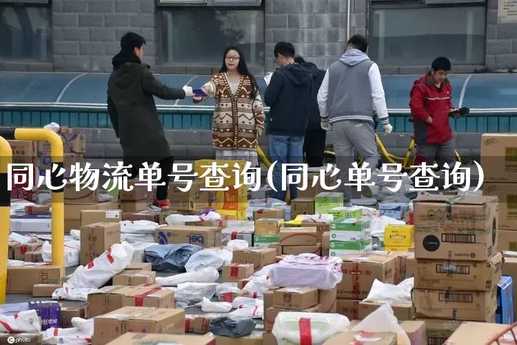 同心物流单号查询(同心单号查询)_https://www.senxinmaoyi.com_快递查询_第1张