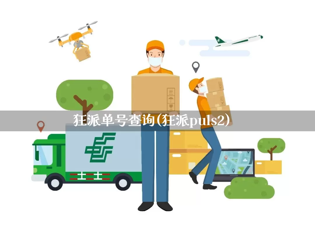 狂派单号查询(狂派puls2)_https://www.senxinmaoyi.com_物流单号_第1张