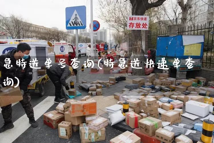 急特送单号查询(特急送快递单查询)_https://www.senxinmaoyi.com_物流单号_第1张