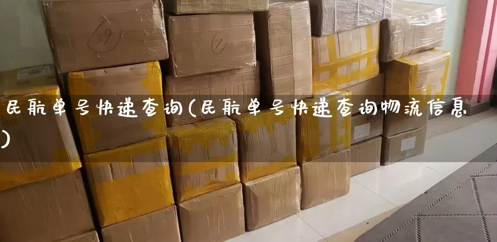 民航单号快递查询(民航单号快递查询物流信息)_https://www.senxinmaoyi.com_物流查询_第1张