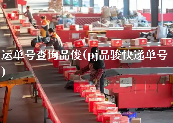 运单号查询品俊(pj品骏快递单号)_https://www.senxinmaoyi.com_物流单号_第1张