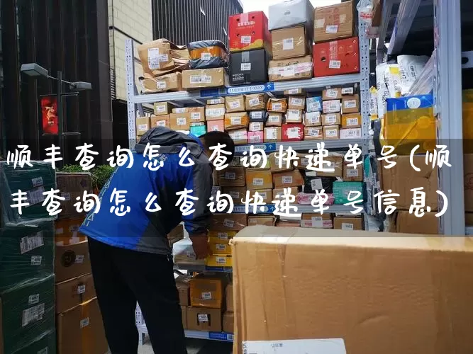顺丰查询怎么查询快递单号(顺丰查询怎么查询快递单号信息)_https://www.senxinmaoyi.com_物流单号_第1张