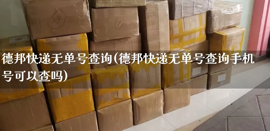 德邦快递无单号查询(德邦快递无单号查询手机号可以查吗)_https://www.senxinmaoyi.com_快递查询_第1张
