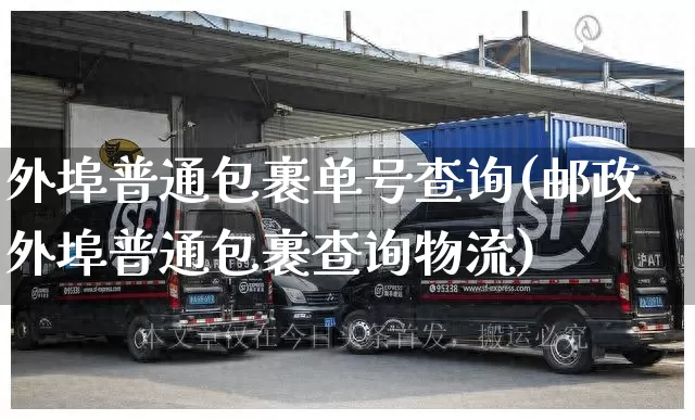 外埠普通包裹单号查询(邮政外埠普通包裹查询物流)_https://www.senxinmaoyi.com_快递查询_第1张