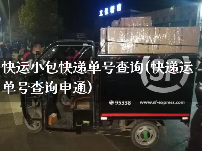 快运小包快递单号查询(快递运单号查询申通)_https://www.senxinmaoyi.com_物流单号_第1张