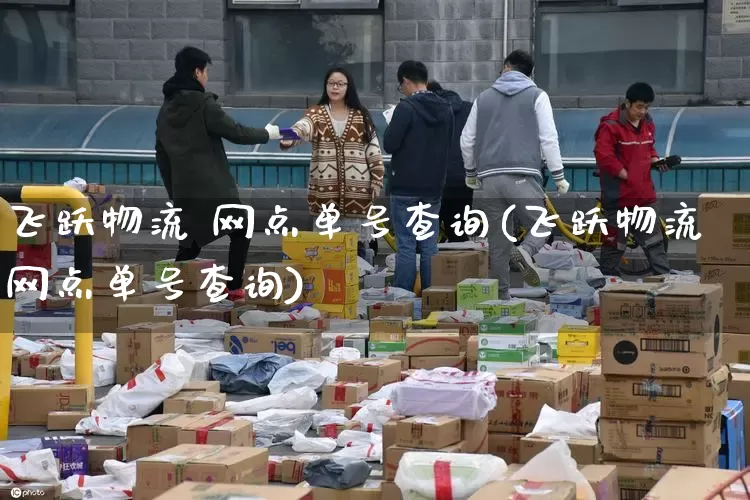 飞跃物流 网点单号查询(飞跃物流网点单号查询)_https://www.senxinmaoyi.com_邮政编码_第1张