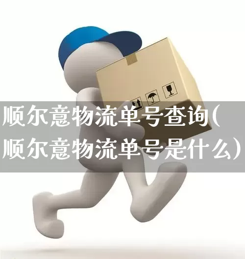 顺尔意物流单号查询(顺尔意物流单号是什么)_https://www.senxinmaoyi.com_物流查询_第1张