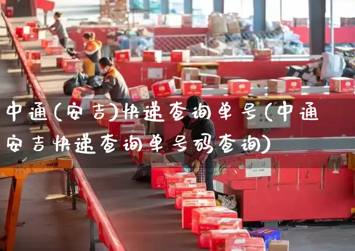中通(安吉)快递查询单号(中通安吉快递查询单号码查询)_https://www.senxinmaoyi.com_物流单号_第1张