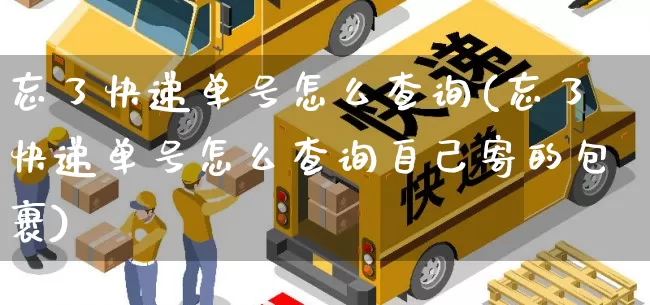 忘了快递单号怎么查询(忘了快递单号怎么查询自己寄的包裹)_https://www.senxinmaoyi.com_物流单号_第1张