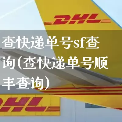 查快递单号sf查询(查快递单号顺丰查询)_https://www.senxinmaoyi.com_物流单号_第1张