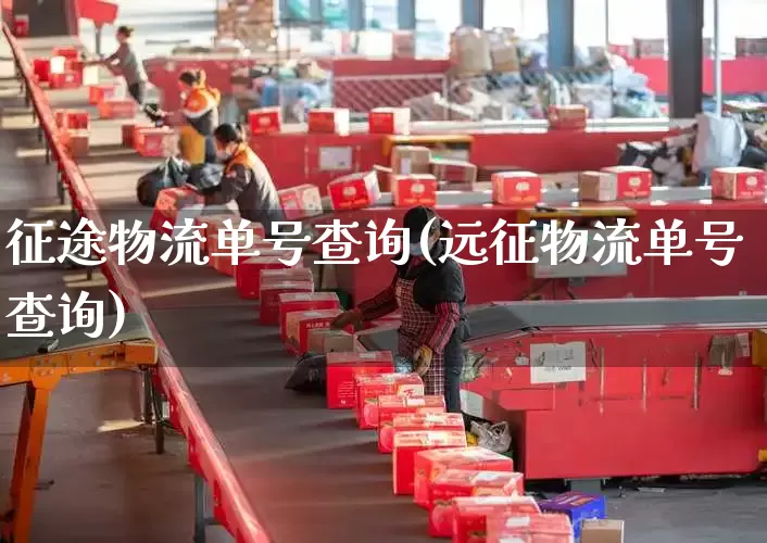 征途物流单号查询(远征物流单号查询)_https://www.senxinmaoyi.com_快递查询_第1张