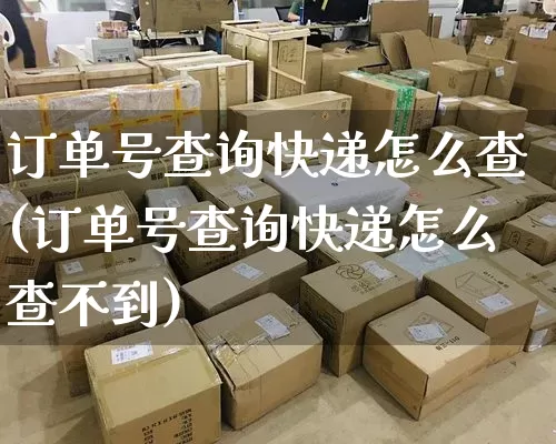 订单号查询快递怎么查(订单号查询快递怎么查不到)_https://www.senxinmaoyi.com_邮政编码_第1张