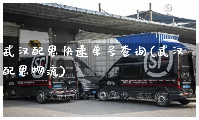 武汉配思快递单号查询(武汉配思物流)_https://www.senxinmaoyi.com_邮政编码_第1张