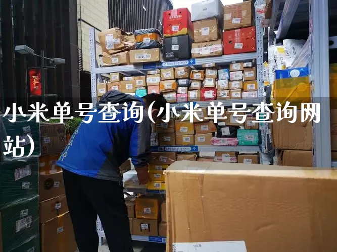 小米单号查询(小米单号查询网站)_https://www.senxinmaoyi.com_物流单号_第1张