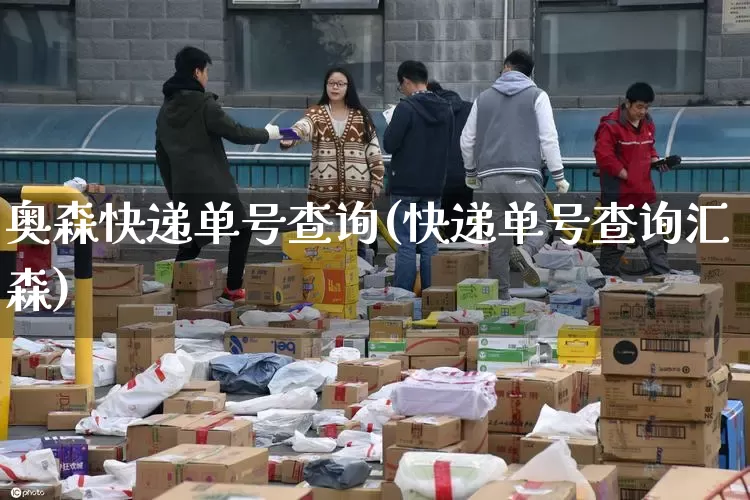 奥森快递单号查询(快递单号查询汇森)_https://www.senxinmaoyi.com_邮政编码_第1张