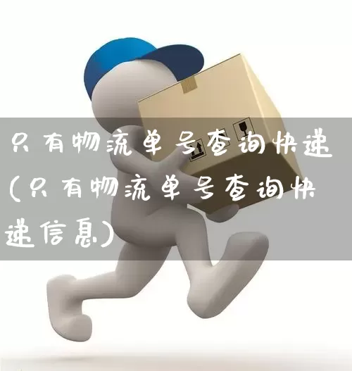 只有物流单号查询快递(只有物流单号查询快递信息)_https://www.senxinmaoyi.com_物流单号_第1张