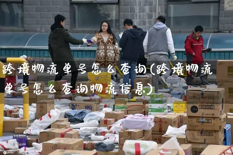跨境物流单号怎么查询(跨境物流单号怎么查询物流信息)_https://www.senxinmaoyi.com_快递查询_第1张