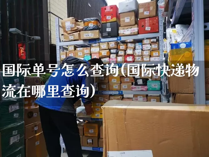 国际单号怎么查询(国际快递物流在哪里查询)_https://www.senxinmaoyi.com_物流查询_第1张