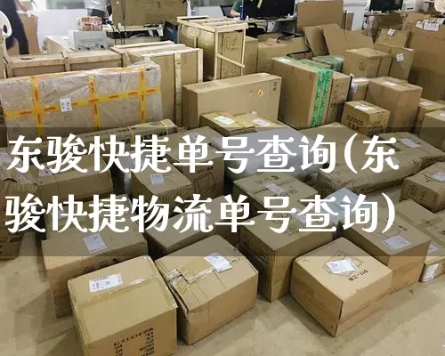 东骏快捷单号查询(东骏快捷物流单号查询)_https://www.senxinmaoyi.com_物流查询_第1张