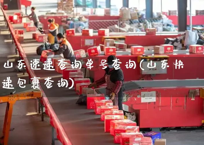 山东速递查询单号查询(山东快递包裹查询)_https://www.senxinmaoyi.com_快递查询_第1张
