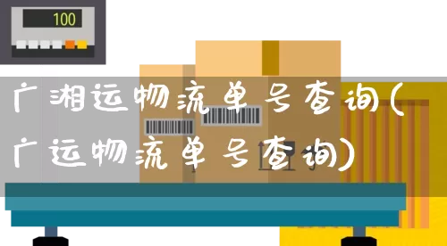 广湘运物流单号查询(广运物流单号查询)_https://www.senxinmaoyi.com_快递查询_第1张