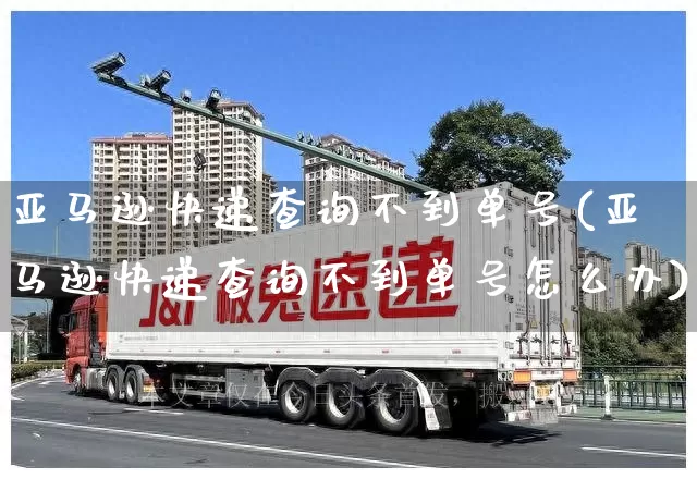 亚马逊快递查询不到单号(亚马逊快递查询不到单号怎么办)_https://www.senxinmaoyi.com_物流单号_第1张