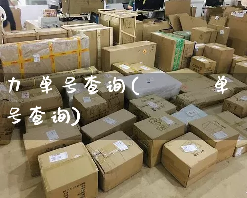 力 单号查询(ヤマト单号查询)_https://www.senxinmaoyi.com_快递查询_第1张