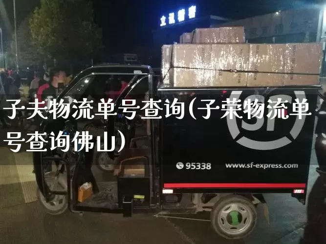 子夫物流单号查询(子荣物流单号查询佛山)_https://www.senxinmaoyi.com_物流单号_第1张