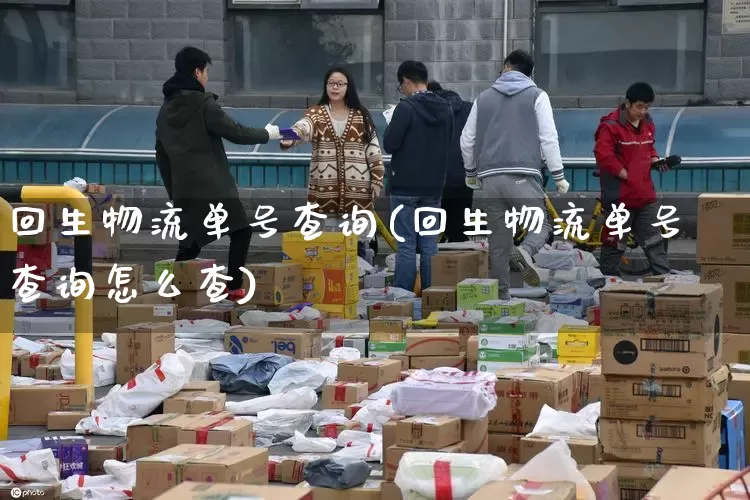 回生物流单号查询(回生物流单号查询怎么查)_https://www.senxinmaoyi.com_物流单号_第1张