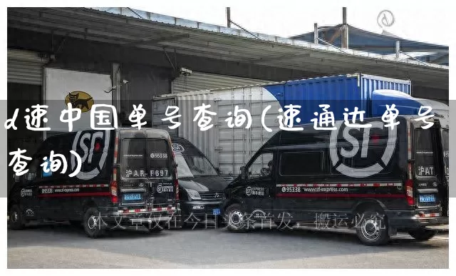 d速中国单号查询(速通达单号查询)_https://www.senxinmaoyi.com_物流单号_第1张