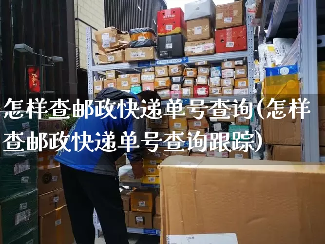 怎样查邮政快递单号查询(怎样查邮政快递单号查询跟踪)_https://www.senxinmaoyi.com_物流查询_第1张