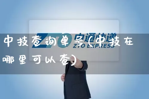 中技查询单号(中技在哪里可以查)_https://www.senxinmaoyi.com_快递查询_第1张