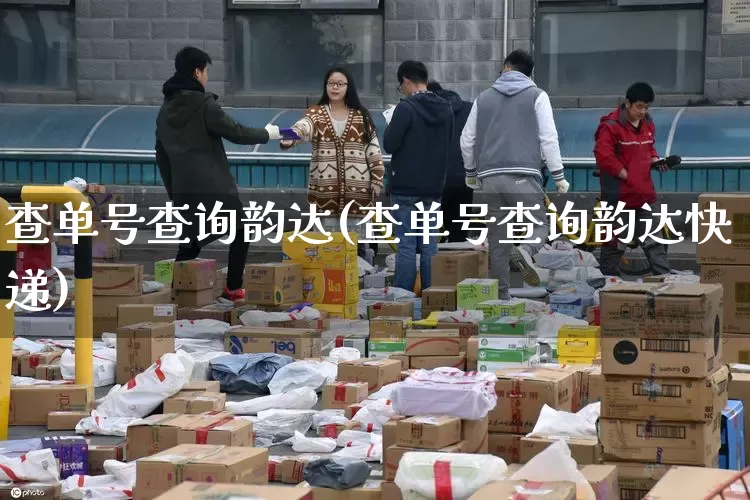查单号查询韵达(查单号查询韵达快递)_https://www.senxinmaoyi.com_快递查询_第1张