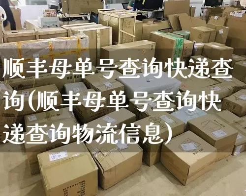 顺丰母单号查询快递查询(顺丰母单号查询快递查询物流信息)_https://www.senxinmaoyi.com_物流单号_第1张