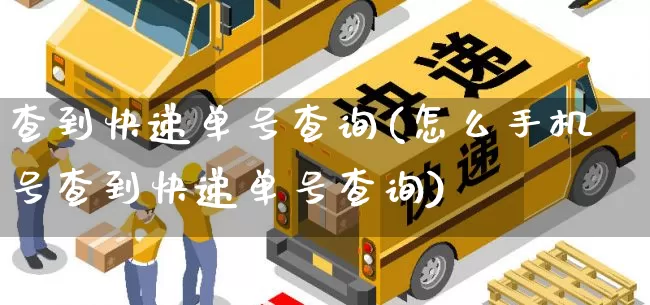 查到快递单号查询(怎么手机号查到快递单号查询)_https://www.senxinmaoyi.com_物流单号_第1张