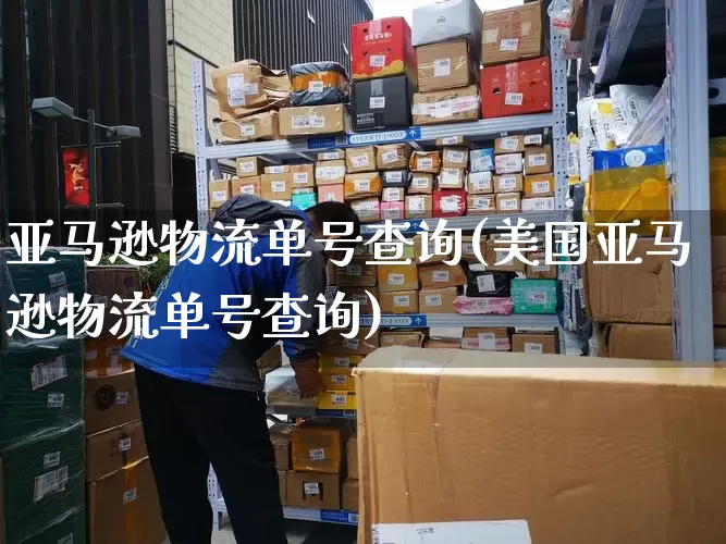 亚马逊物流单号查询(美国亚马逊物流单号查询)_https://www.senxinmaoyi.com_物流单号_第1张