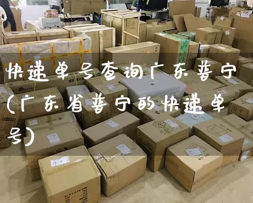 快递单号查询广东普宁(广东省普宁的快递单号)_https://www.senxinmaoyi.com_物流单号_第1张