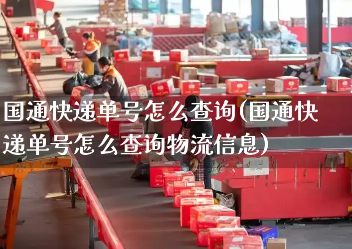 国通快递单号怎么查询(国通快递单号怎么查询物流信息)_https://www.senxinmaoyi.com_快递查询_第1张
