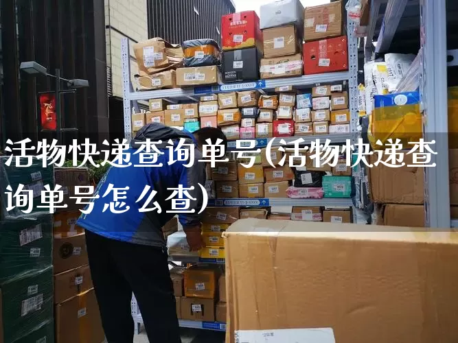 活物快递查询单号(活物快递查询单号怎么查)_https://www.senxinmaoyi.com_快递查询_第1张
