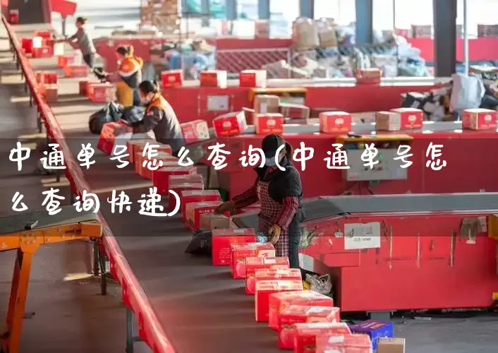中通单号怎么查询(中通单号怎么查询快递)_https://www.senxinmaoyi.com_物流单号_第1张