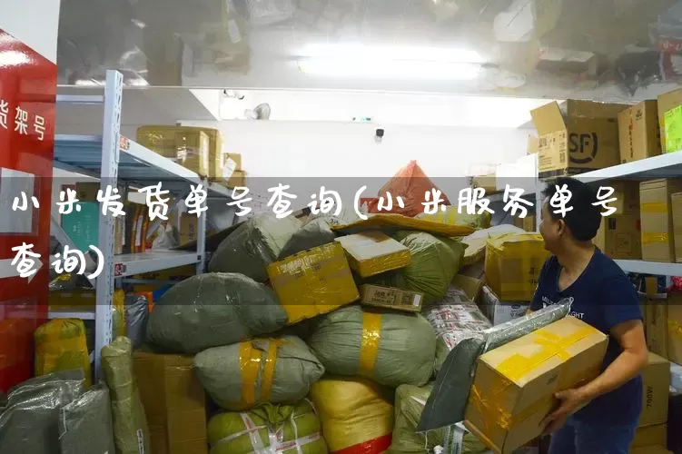 小米发货单号查询(小米服务单号查询)_https://www.senxinmaoyi.com_快递查询_第1张